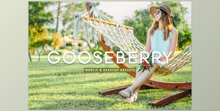 Download Gooseberry Pro Lightroom Presets CreativeMarket - 7403892