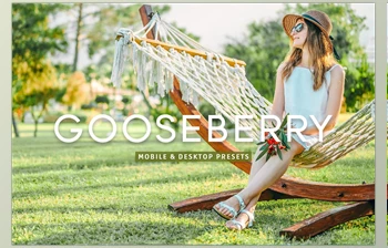 Download Gooseberry Pro <span class='badge badge-warning'>Lightroom</span> Presets <span class='badge badge-warning'>CreativeMarket</span> - 7403892
