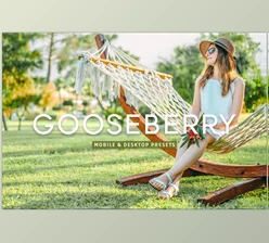 Download Gooseberry Pro Lightroom Presets CreativeMarket - 7403892