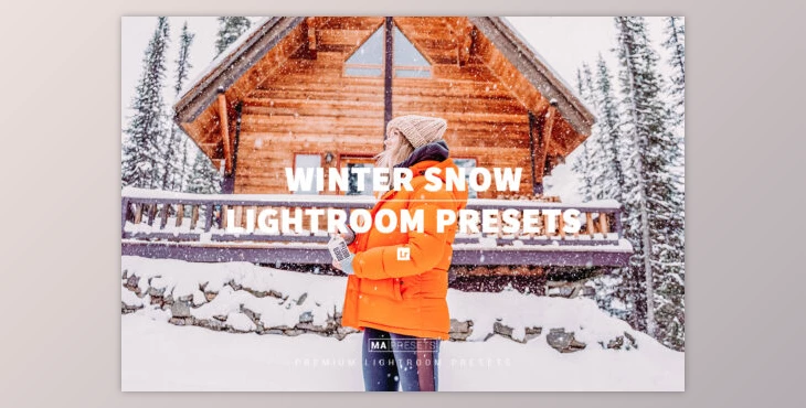 Download 10 WINTER SNOW Lightroom Presets