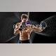 Download PhotoLines Animator for Premiere Pro (Videohive 37459094)