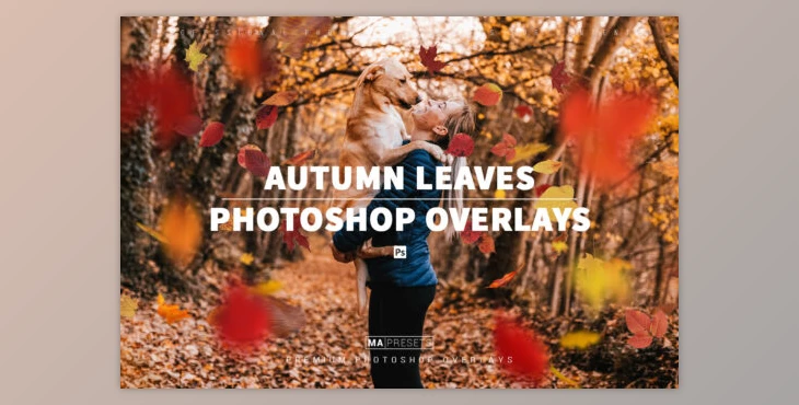 Download 70 AUTUMN LEAVES OVERLAYS