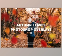 Download 70 AUTUMN LEAVES OVERLAYS
