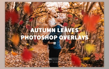 Download <span class='badge badge-warning'>70</span> AUTUMN LEAVES OVERLAYS