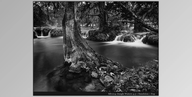 Download Silver 4 Perfect Black and White Presets - Seim Effects