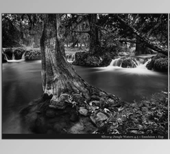 Download Silver 4 Perfect Black and White Presets - Seim Effects