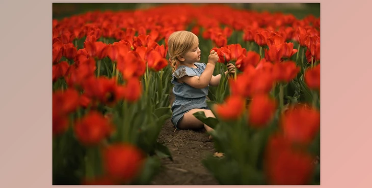 Download Meridian Presets NATURA PRESETS