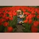 Download Meridian Presets NATURA PRESETS