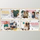 Download Back To School – Creative Opener (Videohive 38869339) - AE Project