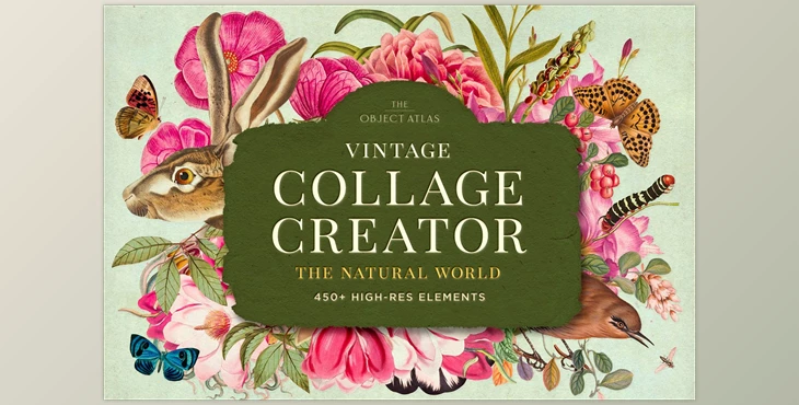 Download Vintage Nature Collage Creator – CreativeMarket - 6651389