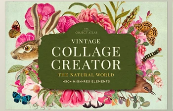 Download Vintage Nature Collage <span class='badge badge-warning'>Creator</span> – CreativeMarket - 6651389