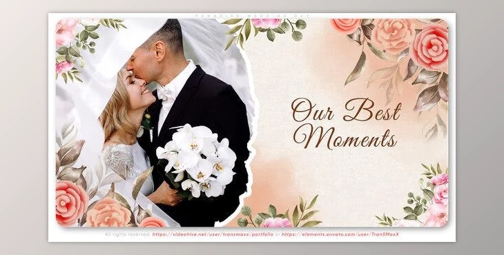 Download Paradise Wedding Day (Videohive 38683212) - AE Project