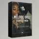 Download Production Music Live Melodic Drill from Start to Finish Course in FL