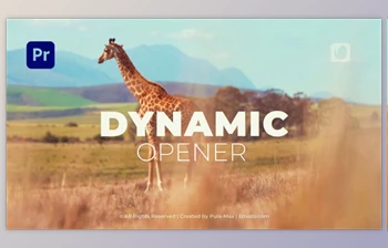 Download Dynamic Stomp Opener | <span class='badge badge-warning'>MOGRT</span> (<span class='badge badge-warning'>Videohive</span> 38803605) - PR <span class='badge badge-warning'>Project</span>