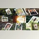 Download Life Memory In The Summer Photo Gallery (Videohive 38910030) - AE Project