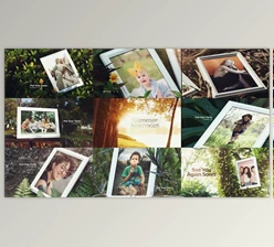 Download Life Memory In The Summer Photo Gallery (Videohive 38910030) - AE Project