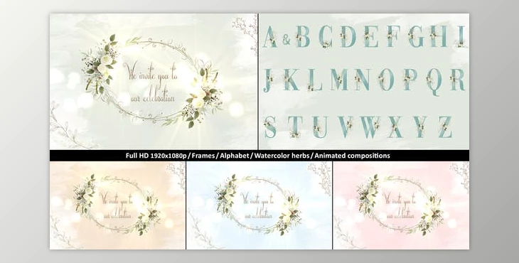 Download Wedding Invitation Pack (Videohive 32884125) - AE Project