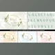 Download Wedding Invitation Pack (Videohive 32884125) - AE Project