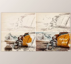Download Bush Ink Slideshow (Videohive 38837248) - AE Project