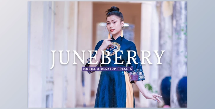 Download Juneberry Pro Lightroom Presets CreativeMarket - 7473583