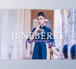 Download Juneberry Pro Lightroom Presets CreativeMarket - 7473583