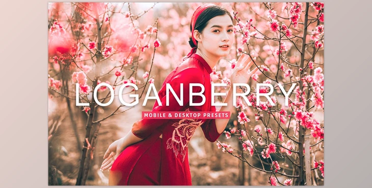 Download Loganberry Pro Lightroom Presets CreativeMarket - 7473584