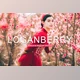Download Loganberry Pro Lightroom Presets CreativeMarket - 7473584
