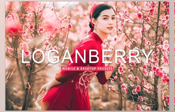 Download Loganberry Pro <span class='badge badge-warning'>Lightroom</span> Presets <span class='badge badge-warning'>CreativeMarket</span> - 7473584