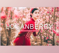 Download Loganberry Pro Lightroom Presets CreativeMarket - 7473584