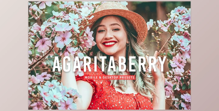 Download Agaritaberry Pro Lightroom Presets CreativeMarket - 7469771