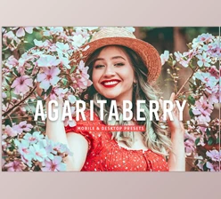 Download Agaritaberry Pro Lightroom Presets CreativeMarket - 7469771