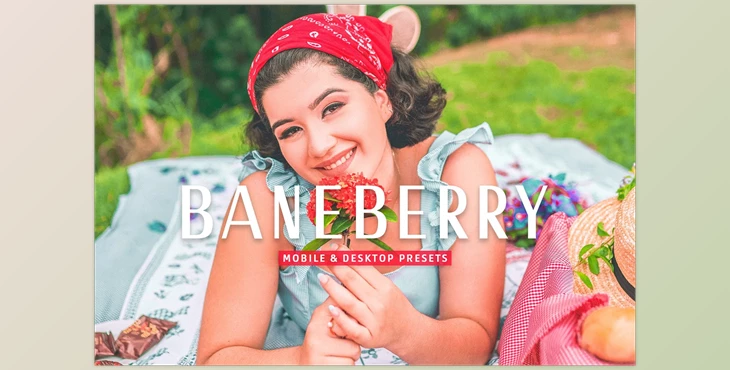 Download Baneberry Pro Lightroom Presets CreativeMarket - 7469774