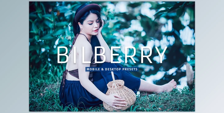 Download Bilberry Pro Lightroom Presets CreativeMarket - 7469776