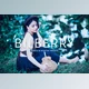 Download Bilberry Pro Lightroom Presets CreativeMarket - 7469776