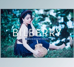 Download Bilberry Pro Lightroom Presets CreativeMarket - 7469776