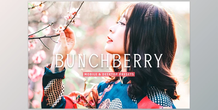 Download Bunchberry Pro Lightroom Presets CreativeMarket - 7469777