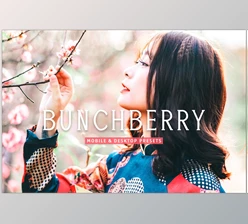Download Bunchberry Pro Lightroom Presets CreativeMarket - 7469777