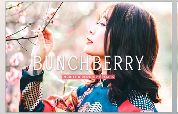 Download Bunchberry Pro <span class='badge badge-warning'>Lightroom</span> Presets <span class='badge badge-warning'>CreativeMarket</span> - 7469777