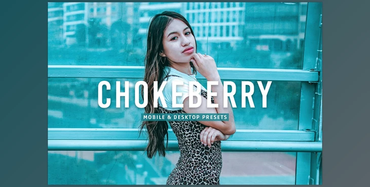Download Chokeberry Pro Lightroom Presets CreativeMarket - 7469780