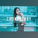 Download Chokeberry Pro Lightroom Presets CreativeMarket - 7469780