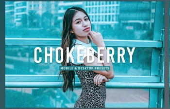 Download Chokeberry Pro <span class='badge badge-warning'>Lightroom</span> Presets <span class='badge badge-warning'>CreativeMarket</span> - 7469780