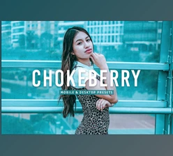 Download Chokeberry Pro Lightroom Presets CreativeMarket - 7469780