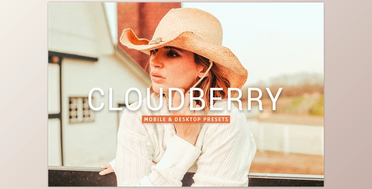 Download Cloudberry Pro Lightroom Presets CreativeMarket - 7469782