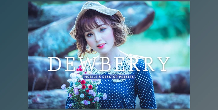 Download Dewberry Pro Lightroom Presets CreativeMarket - 7469785