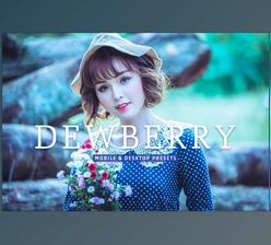 Download Dewberry Pro Lightroom Presets CreativeMarket - 7469785