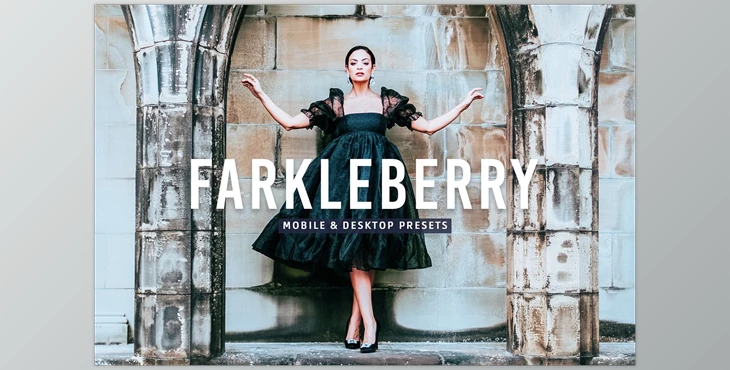 Download Farkleberry Pro Lightroom Presets CreativeMarket - 7469788