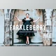 Download Farkleberry Pro Lightroom Presets CreativeMarket - 7469788