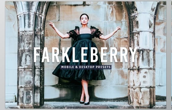 Download Farkleberry Pro <span class='badge badge-warning'>Lightroom</span> Presets <span class='badge badge-warning'>CreativeMarket</span> - 7469788