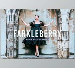 Download Farkleberry Pro Lightroom Presets CreativeMarket - 7469788