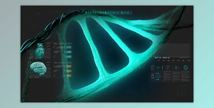 Download HUD Medical Interface DNA (Videohive 38147713) - AE Project